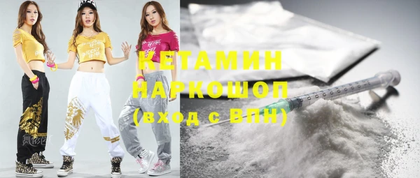 гашик Алексин