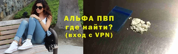 хмурый Алзамай