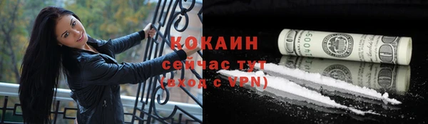 гашик Алексин