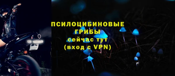 хмурый Алзамай