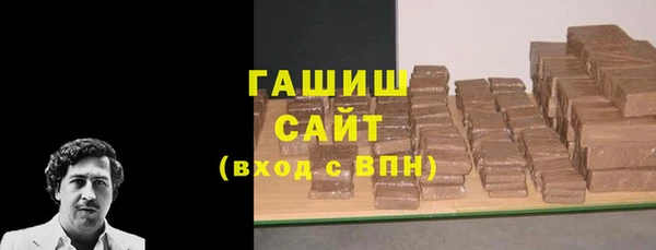 гашик Алексин