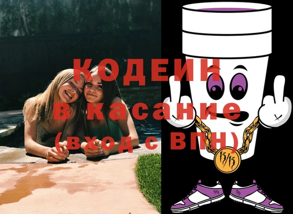гашик Алексин