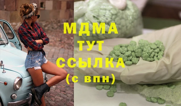 гашик Алексин