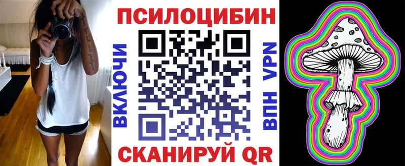 мега маркетплейс  купить  цена  Коркино  Псилоцибиновые грибы GOLDEN TEACHER 